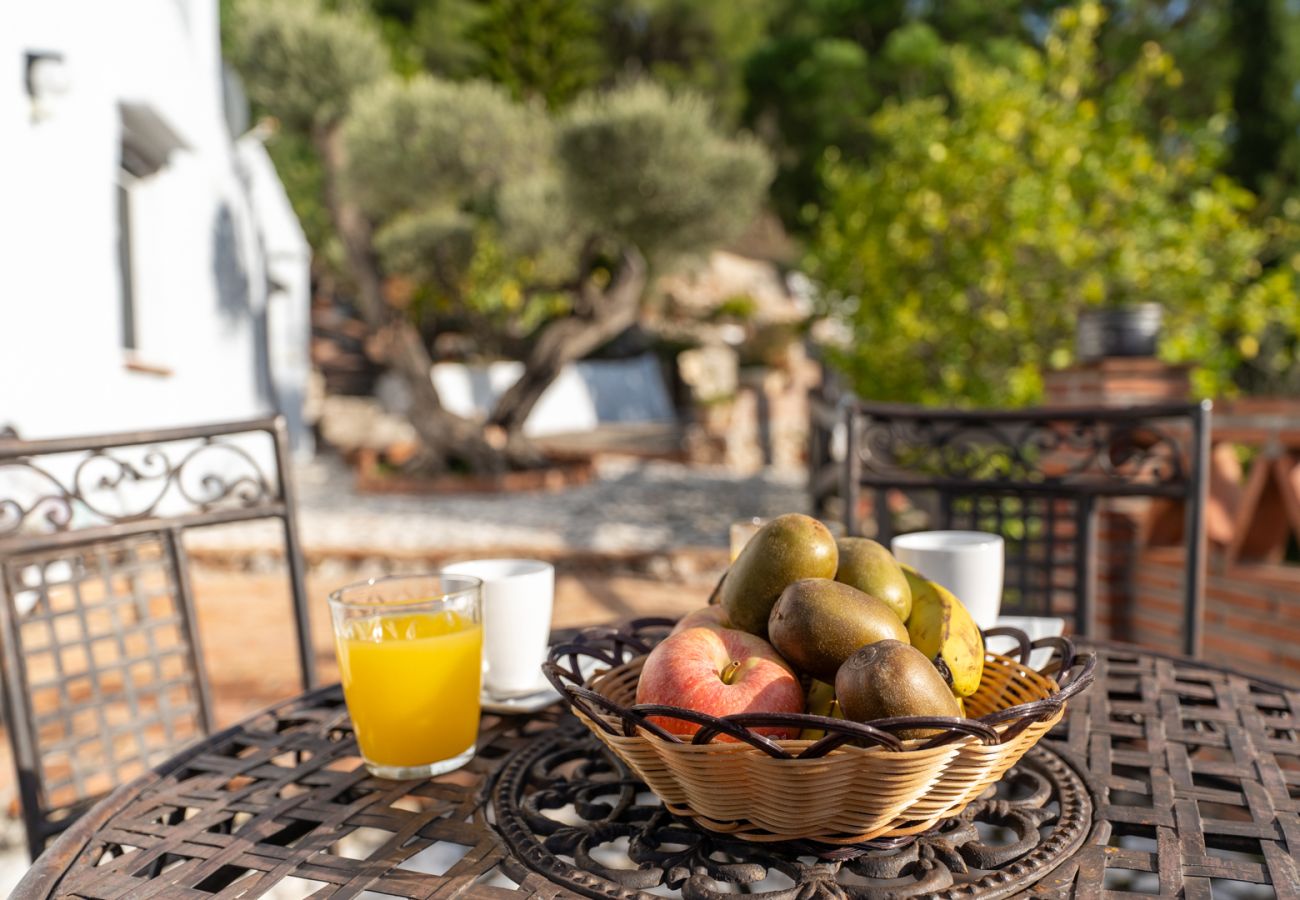 Gîte Rural à Frigiliana - Acebuchal 001 