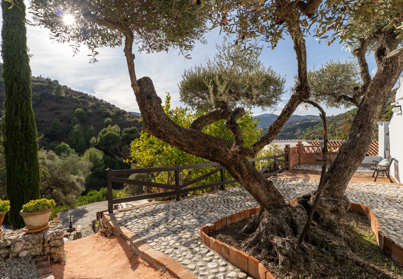 Gîte Rural à Frigiliana - Acebuchal 001 