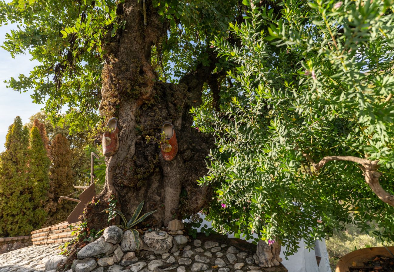 Gîte Rural à Frigiliana - Acebuchal 001 