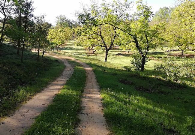 Gîte Rural à Galaroza - Aracena 006 Gîte Rural à Galaroza - Aracena 006