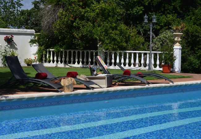 Villa à Palma del Río - Cordoba 004 Villa à Palma del Río - Cordoba 004
