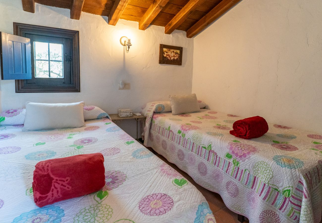 Villa à Frigiliana - Frigiliana 015