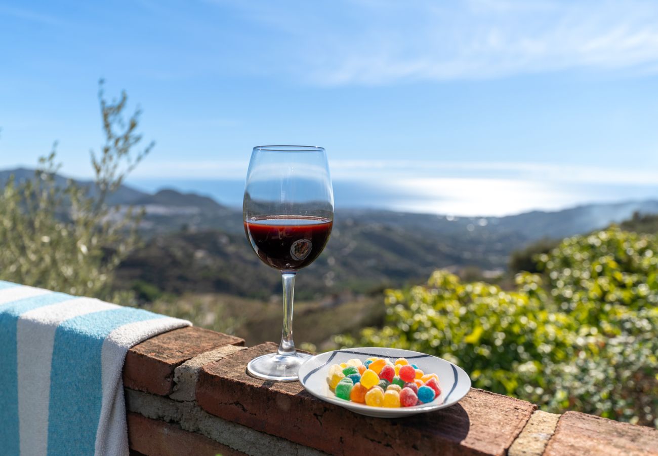 Villa à Frigiliana - Frigiliana 015