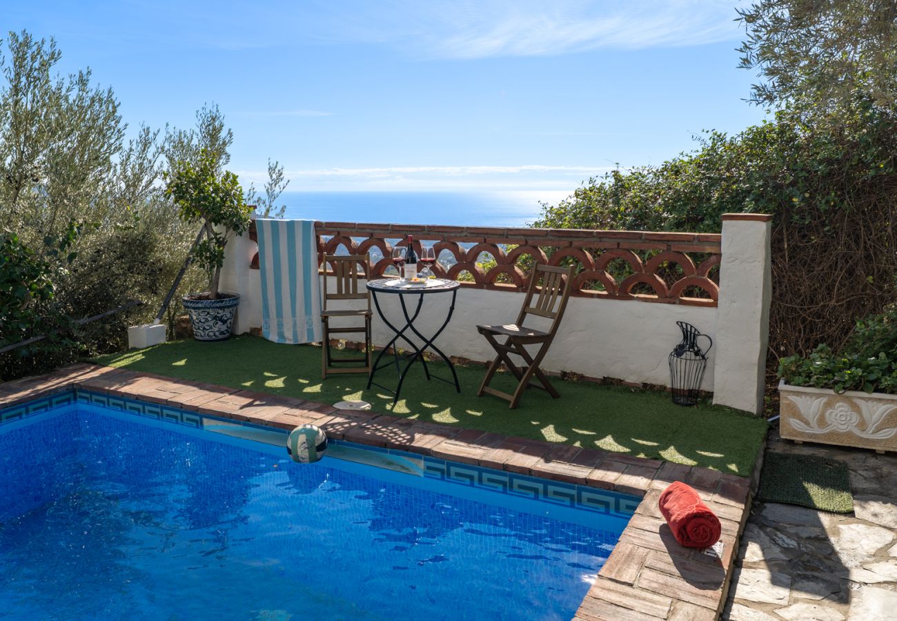 Villa à Frigiliana - Frigiliana 015
