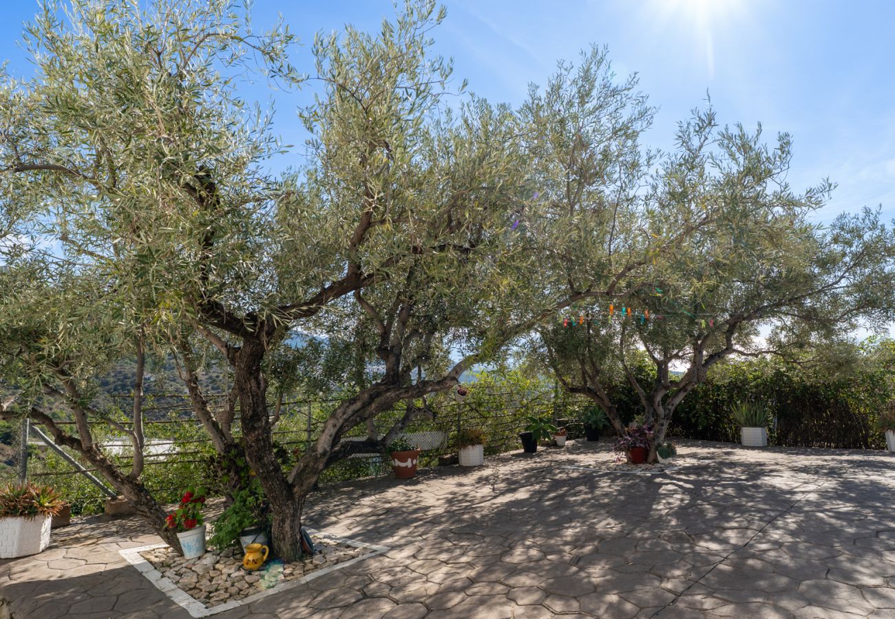 Villa à Frigiliana - Frigiliana 015