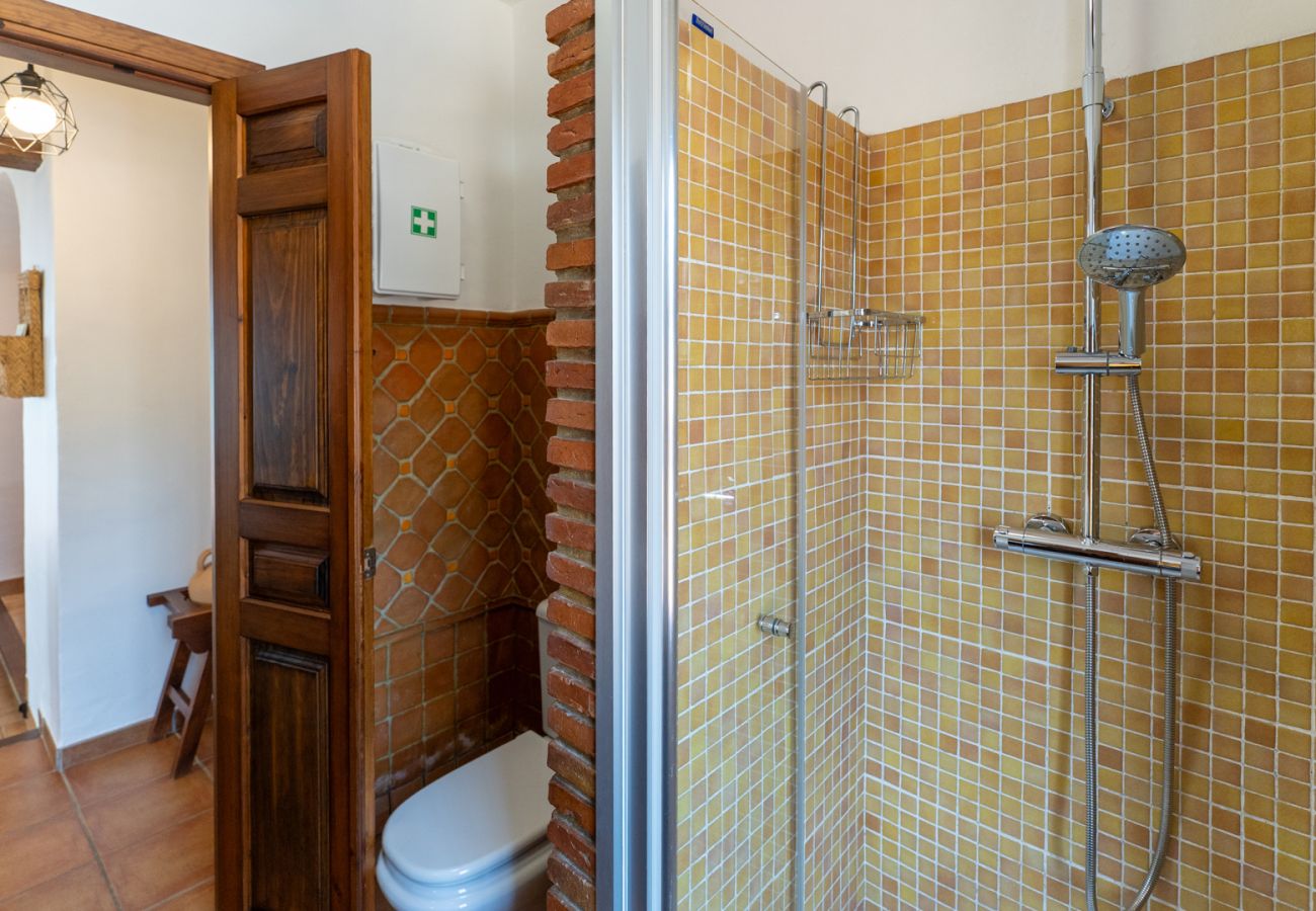 Villa à Frigiliana - Frigiliana 016