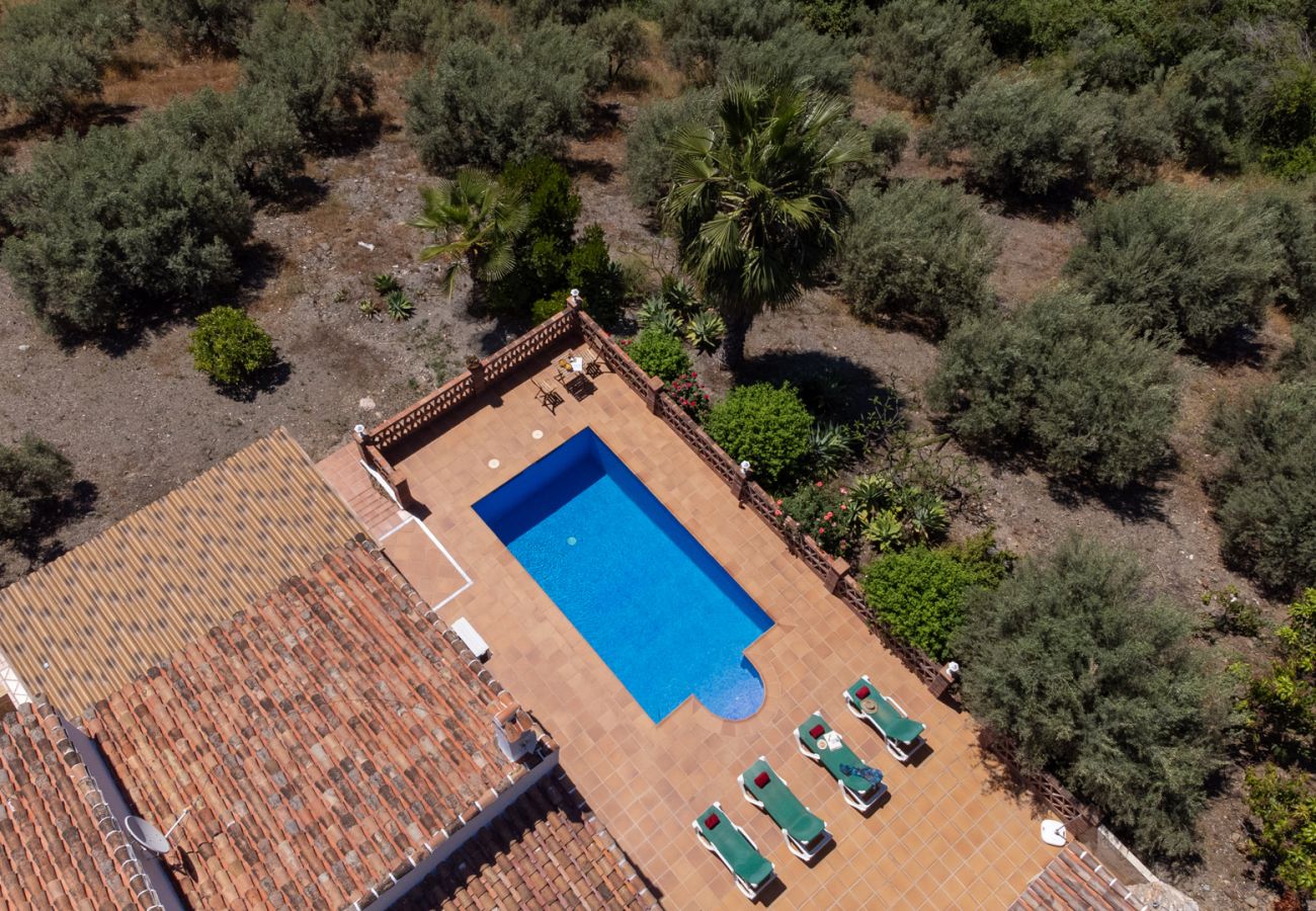 Villa à Frigiliana - Frigiliana 034