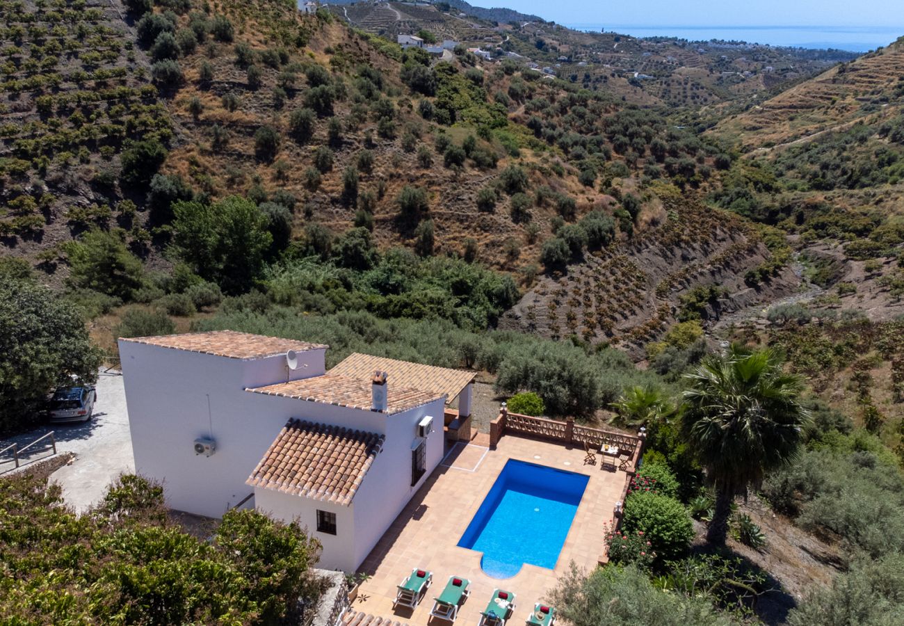 Villa à Frigiliana - Frigiliana 034