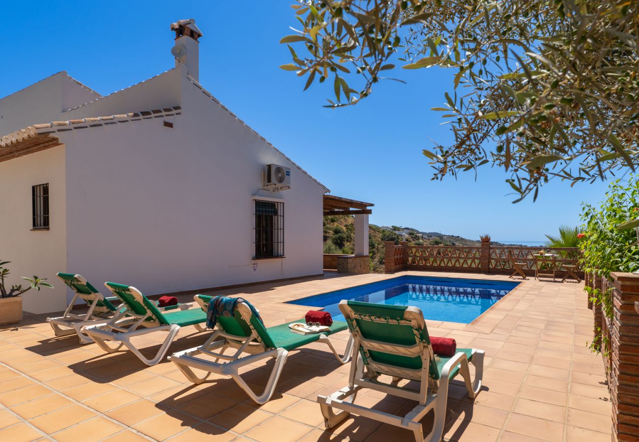 Villa à Frigiliana - Frigiliana 034