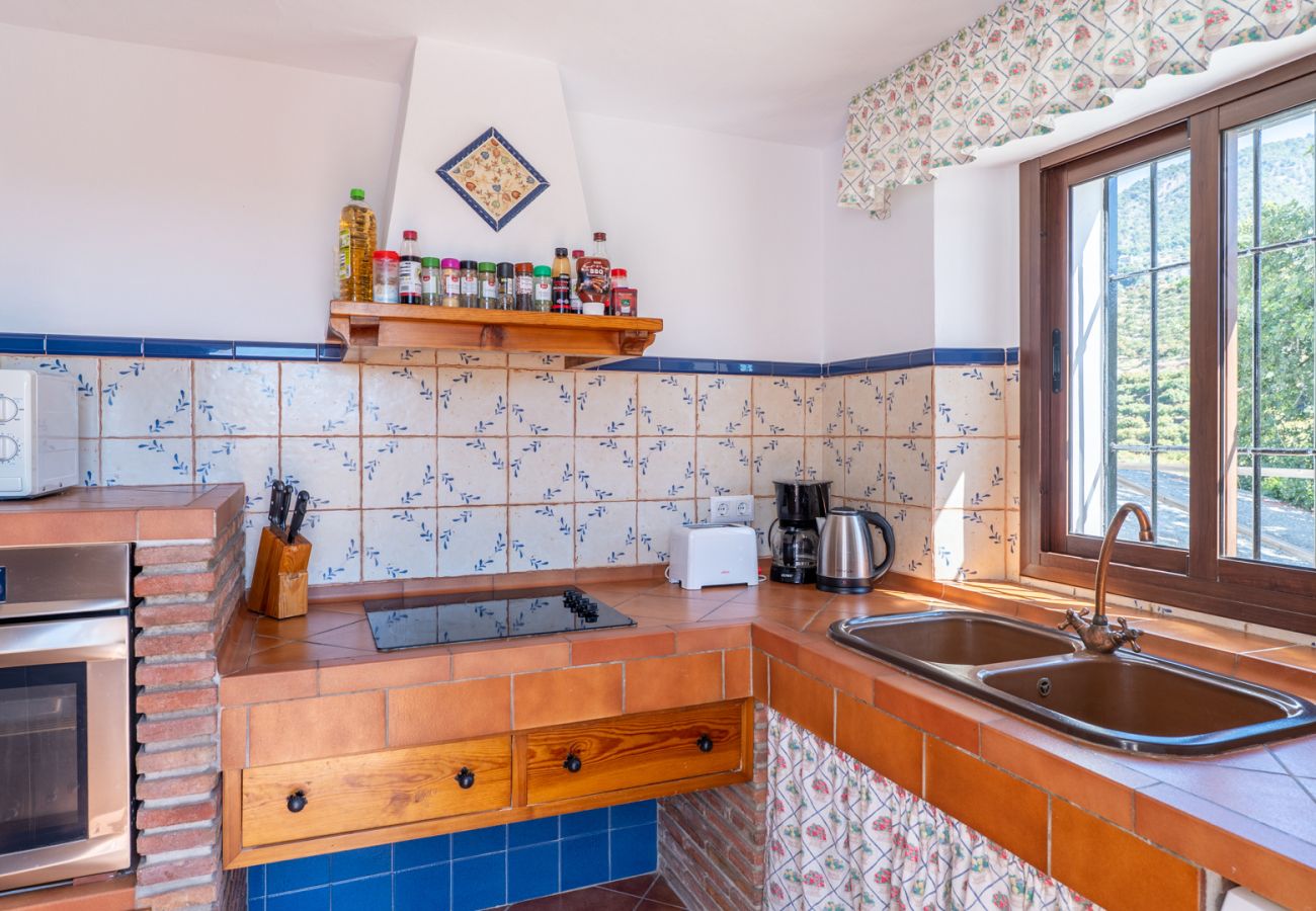 Villa à Frigiliana - Frigiliana 034