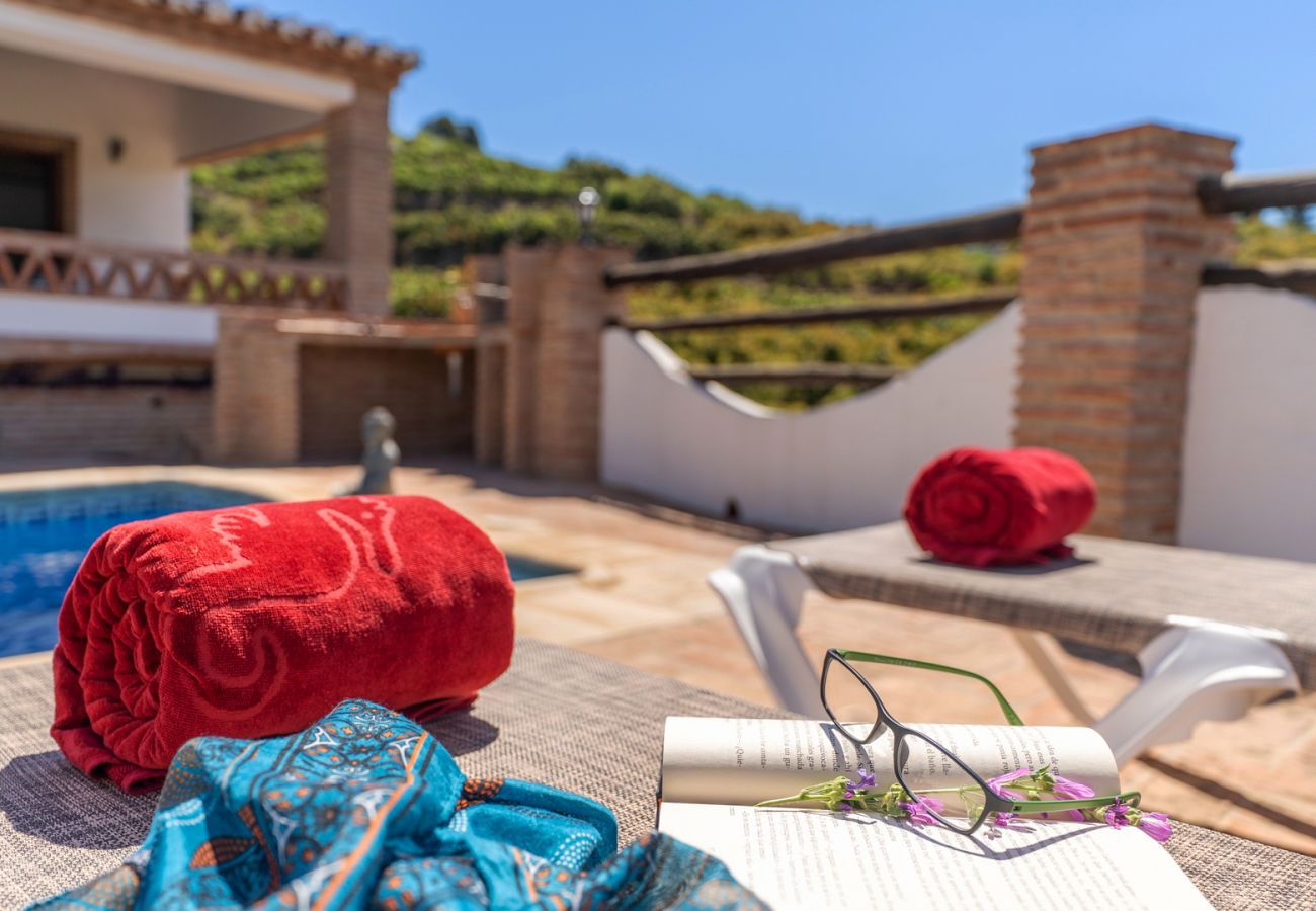 Villa à Frigiliana - Frigiliana 033