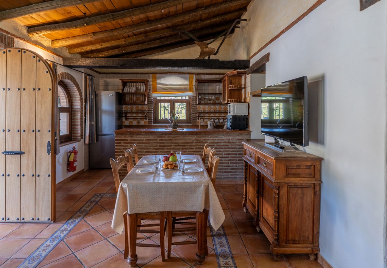 Villa à Frigiliana - Frigiliana 033