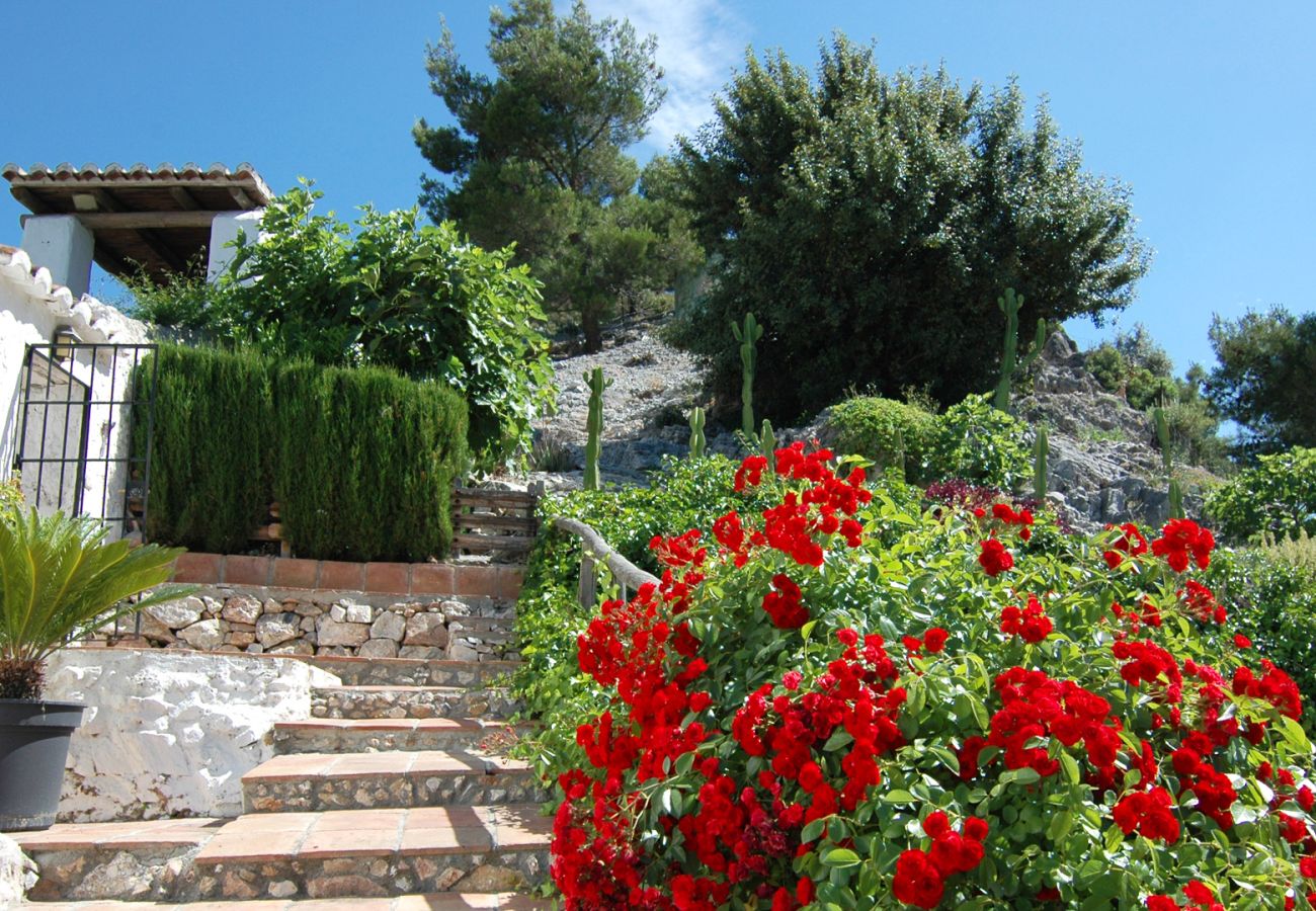 Villa à Frigiliana - Acebuchal 002