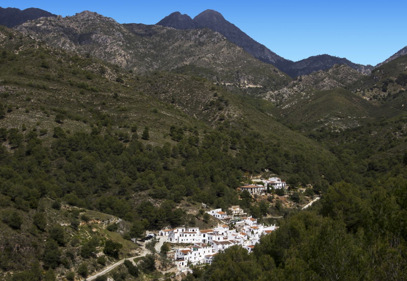 Villa à Frigiliana - Acebuchal 002