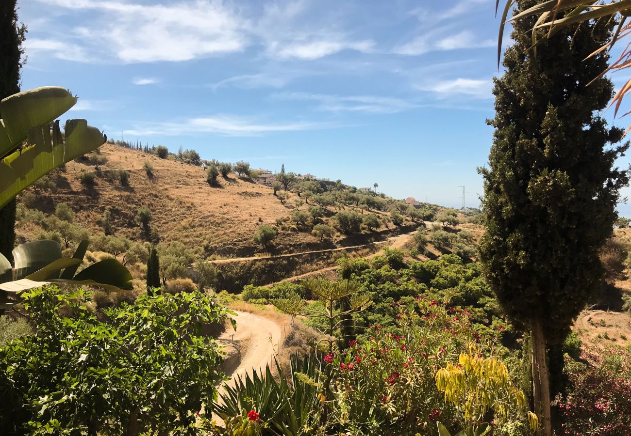 Villa à Frigiliana - Frigiliana 020