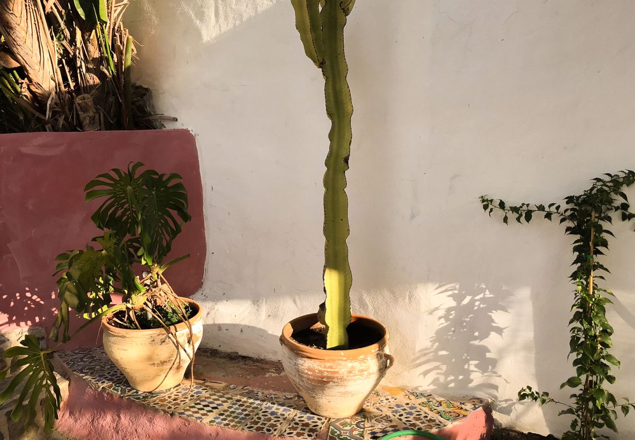 Villa à Frigiliana - Frigiliana 020