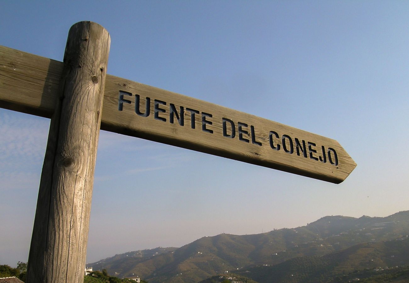 Villa à Frigiliana - Frigiliana 020