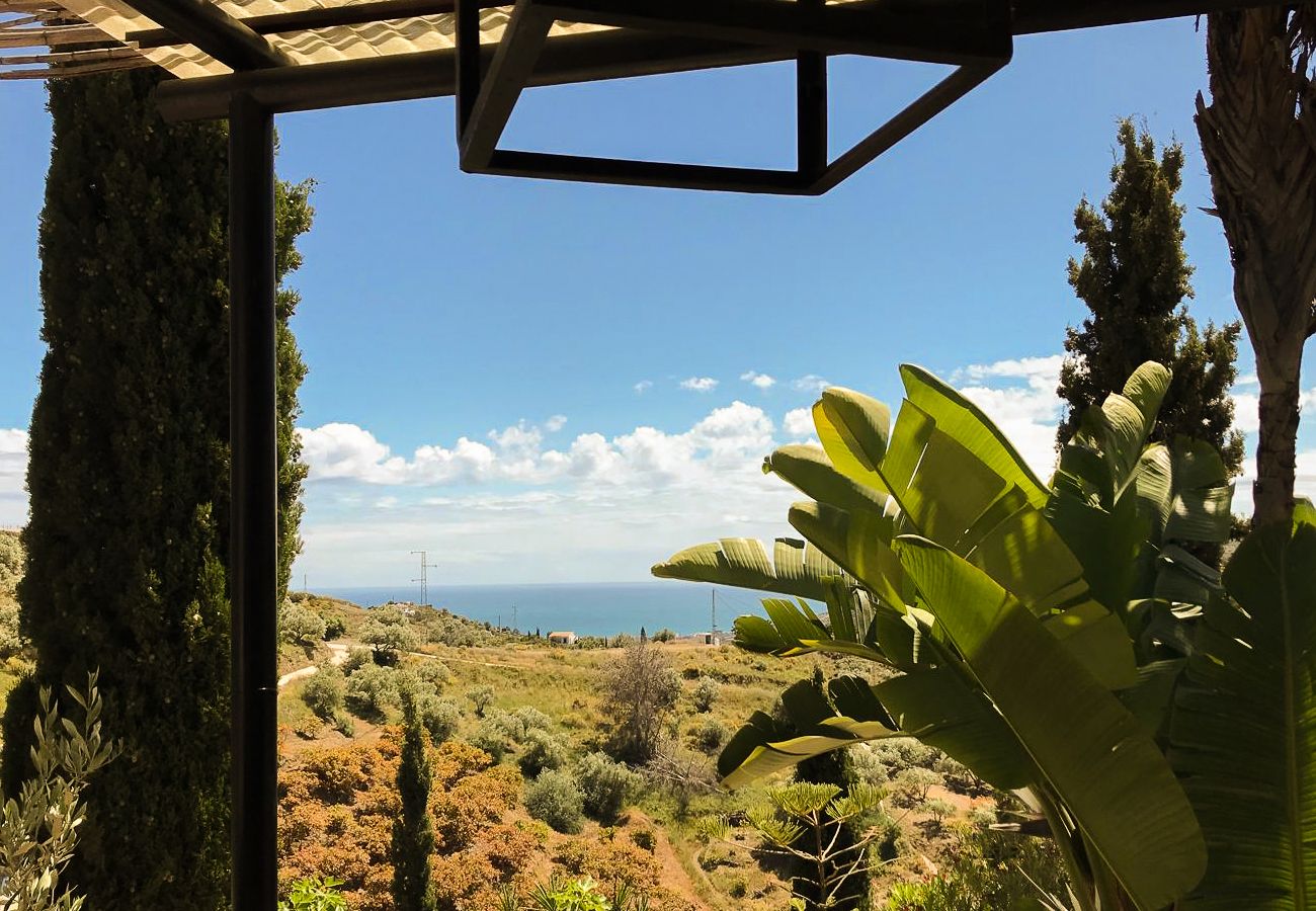 Villa à Frigiliana - Frigiliana 020