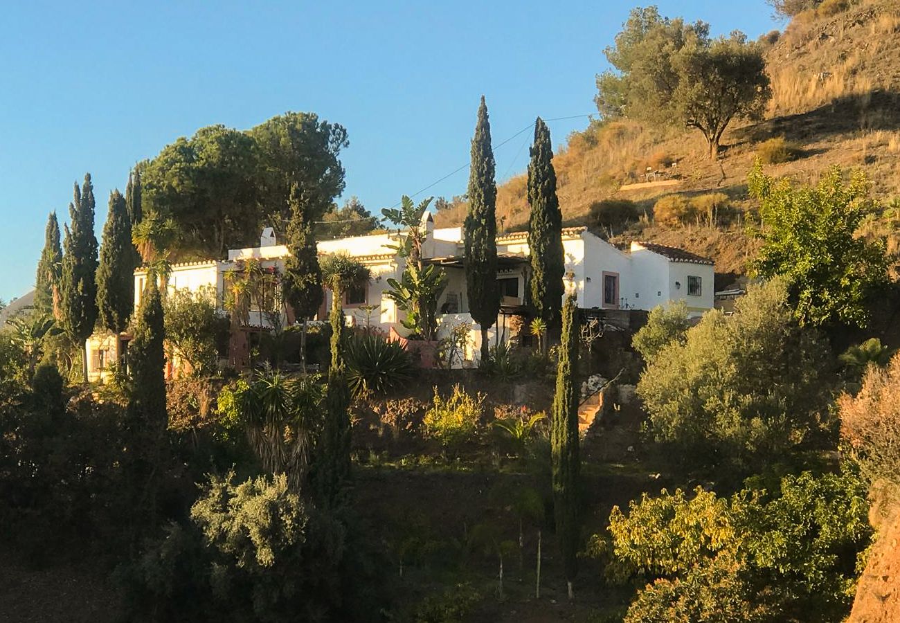Villa à Frigiliana - Frigiliana 020