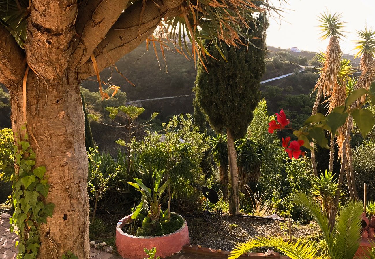 Villa à Frigiliana - Frigiliana 020