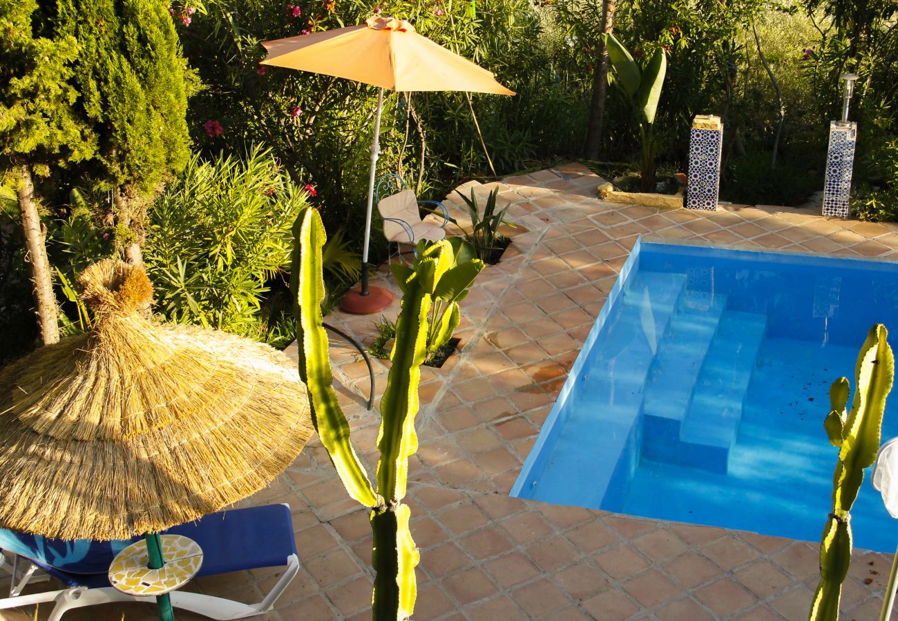 Villa à Frigiliana - Frigiliana 020